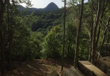 Percorso Marcia Sainte-Eulalie - Sentier du Pradà au départ du Gerbier - Photo