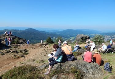 Tour Zu Fuß Bodenmais - 10 Bodenmais - Silberberg - Photo