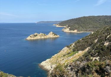 Trail Walking Hyères - Tour de l’île de Port Cros - Photo