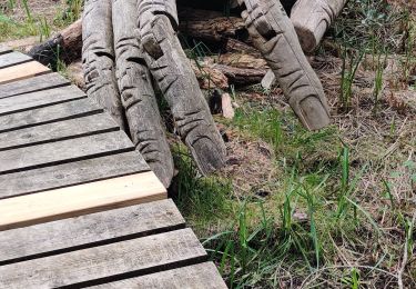 Trail Walking Valencisse - Chambon sur Cisse - Photo