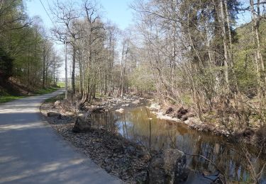 Randonnée Marche Theux - neufmarteau . trou colas . royonpré . neufmarteau  - Photo