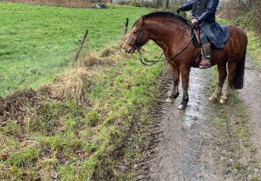 Tocht Paardrijden Houyet - boucle conjoux-tombeduloup - Photo