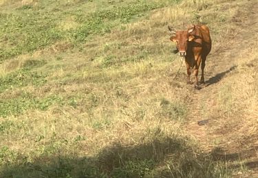 Tocht Noords wandelen Sainte-Anne - Fond grand ma St Anne  - Photo