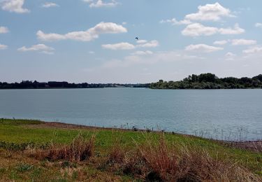 Tocht Stappen La Tessoualle - Lac de Ribou - Lac de Verdon - Photo