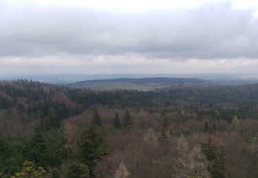 Tour Zu Fuß Pisek - Cesta drahokamů - Photo