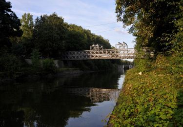 Randonnée A pied Lommel - Blauwe Kei Gele zeshoek - Photo