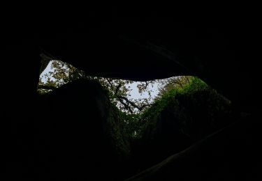 Tour Wandern Huelgoat - Forêt Huelgoat - Photo