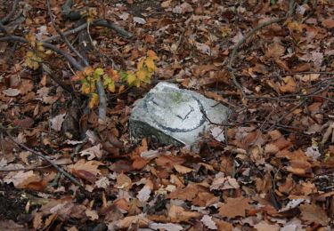 Tour Zu Fuß Bad Schmiedeberg - Rundweg Söllichau - Photo