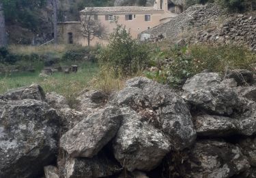 Trail Walking Saint-Maurice-Navacelles - Le randas st guilhem le désert  - Photo