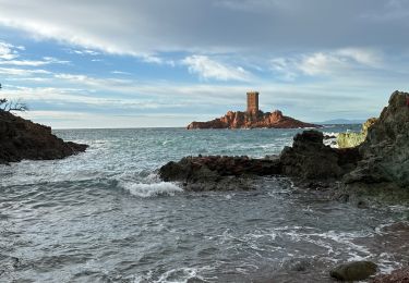 Trail Walking Saint-Raphaël - Dramont Pastourelle - Photo