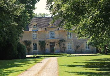 Randonnée A pied Vimont - Au Coeur d'un Marais Alcalin - Photo