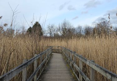 Trail Walking Oupeye - A la découverte de la gravière Brock 🥾 - Photo