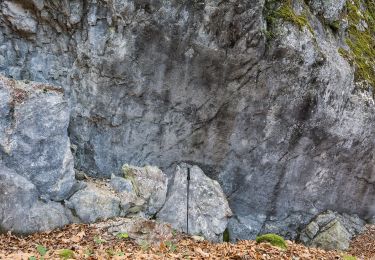 Randonnée A pied Traunkirchen - Buchberg - Mühlbachberg - Zellerlweg - Traunkirchen Ort - Photo