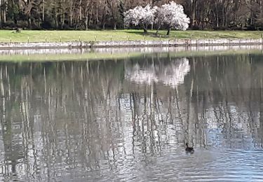 Tocht Stappen Bourg-de-Péage - berges de l'Isère  - Photo