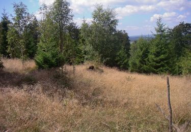 Tour Zu Fuß Neuhütten - Dollbergschleife - Photo