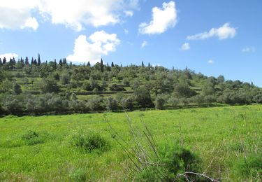 Tocht Te voet Paderne - Percurso do Cerro Grande - Photo