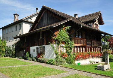 Excursión A pie Gossau (ZH) - Berghof - Grüningen Haufland - Photo