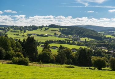 Tour Mountainbike Malmedy - Sur la voie verte - Photo