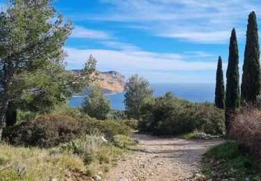 Percorso Marcia Cassis - cassis, en vau calanque et belvédère ,la fontasse - Photo