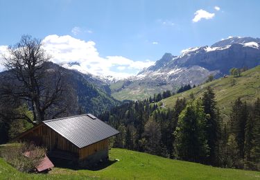 Trail Walking Sallanches - bellissime - Photo