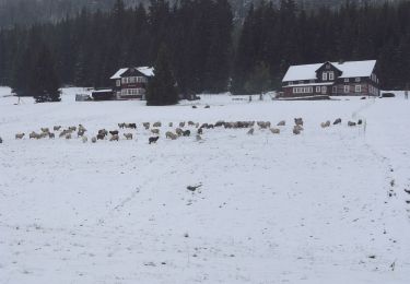 Excursión A pie Pec pod Sněžkou - [Č] Okruh Zeleným a Modrým dolem - Photo