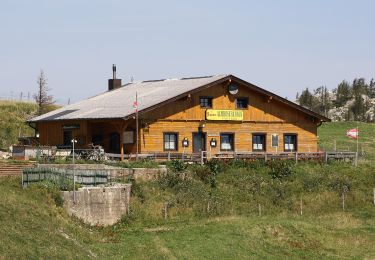 Excursión A pie Gemeinde Puchberg am Schneeberg - Grafensteig - Photo