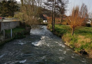 Tour Wandern Criel-sur-Mer - Criel-sur-Mer  - Photo