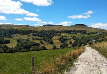 Tour Wandern Anzat-le-Luguet - signal du luguet à partir du luguet  - Photo