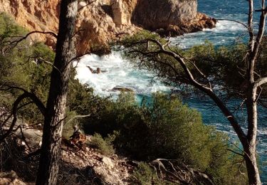 Trail Walking Saint-Cyr-sur-Mer - Boucle Port Madrague St Cyr sur Mer  - Photo
