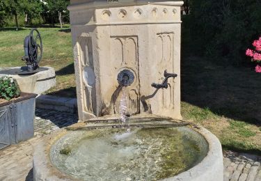 Percorso Marcia Dammartin-les-Templiers - dammartin les templiers - Photo