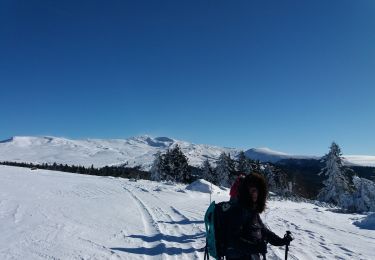 Trail Snowshoes La Tour-d'Auvergne - Chastreix11-01-24 - Photo