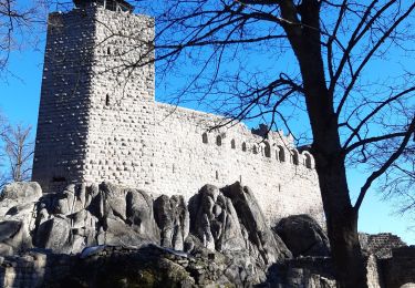 Randonnée Marche Dambach-la-Ville - Dambach Scherwillller - Photo