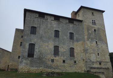 Tocht Stappen Tournecoupe - Tournecoupe prés Saint Clar - Photo