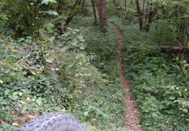 Randonnée V.T.T. Bar-sur-Aube - sur les hauteurs de Bar sur Aube , Arrentiere - Photo