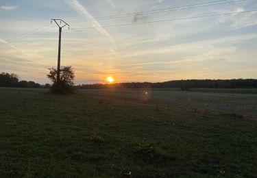 Randonnée Marche Velleguindry-et-Levrecey - De velleguindry à levrecey  - Photo