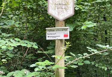Percorso Marcia Aubange - Rachecourt  - Photo