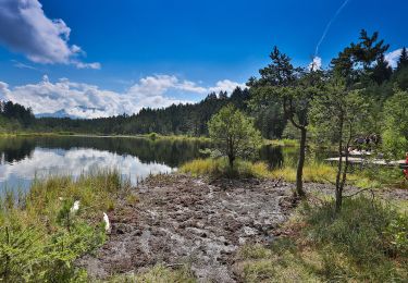 Trail On foot Seeboden am Millstätter See - 23: Samkt Wolfgang - Egelsee - Photo