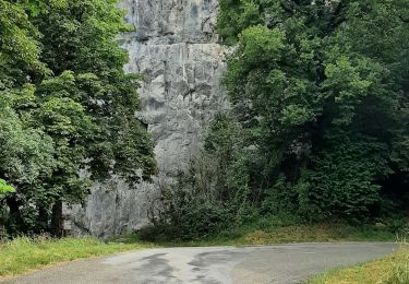 Percorso Marcia Poligny - Poligny 17.2 km 20220623 - Photo