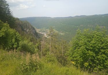 Percorso Bici da strada Les Rousses - col de la faucille, Divonne les bains. - Photo