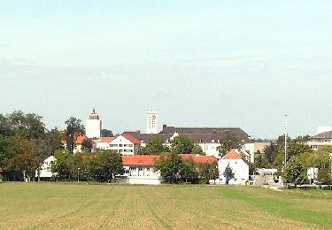 Tour Zu Fuß Röhrmoos - MVV Wanderweg Raute - Photo