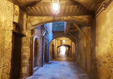 Tour Wandern Nizza - Ballade chemin des douaniers Nice-Villefranche  - Photo