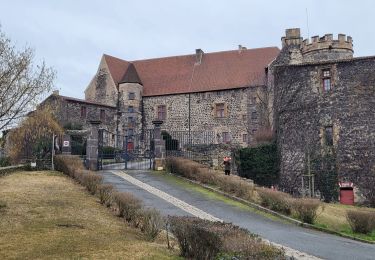 Tocht Stappen Saint-Amant-Tallende - St Amant  Tallende Puy Peyronère - Photo