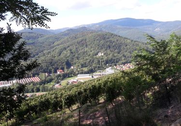 Tour Wandern Gebweiler - 2019.09.11Guebwiller - Photo