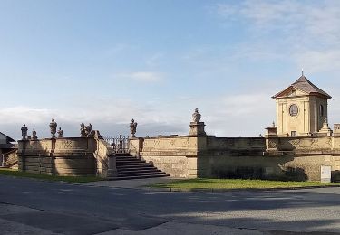 Excursión A pie Střílky - Naučná stezka - Příroda a okolí Střílek - Photo