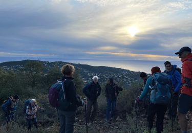 Randonnée Marche Roquebrune-sur-Argens - Gilles REV Bougnon Peygros - Photo