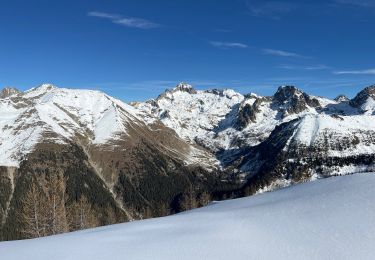 Trail Snowshoes Belvédère - Mont Lapassé  - Photo