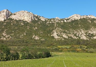 Randonnée Marche Eyguières - Tour des Opies - Photo