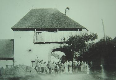 Excursión A pie okres Levice - náučný chodník Pukanec - Photo