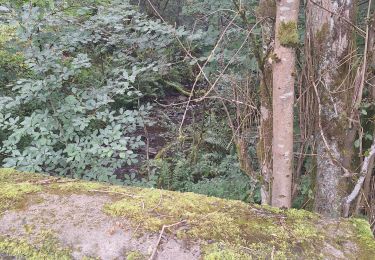 Tour Wandern Manhay - Le tour de Crahay - Photo