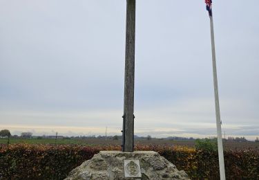Percorso Marcia Fromelles - 20/11/2024 Fromelles BenB philippe - Photo